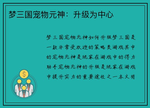梦三国宠物元神：升级为中心